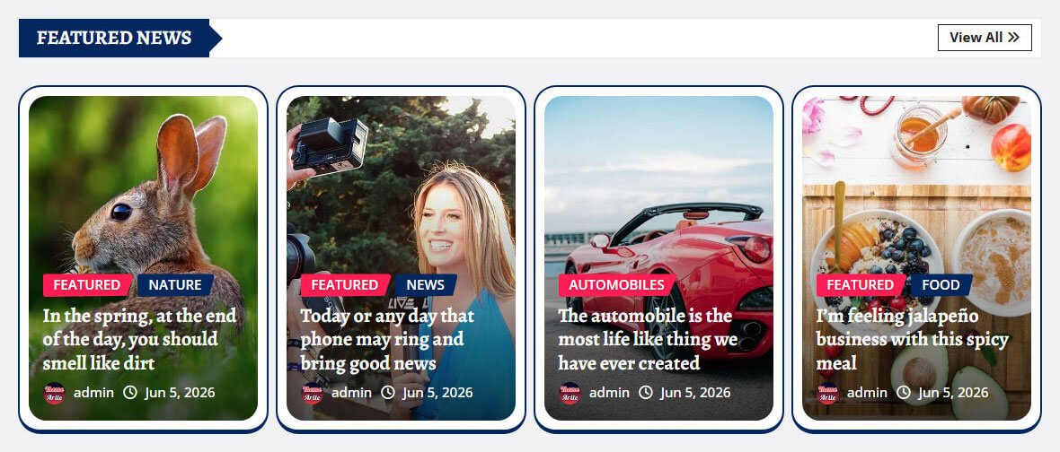Beautiful Featured News Slider