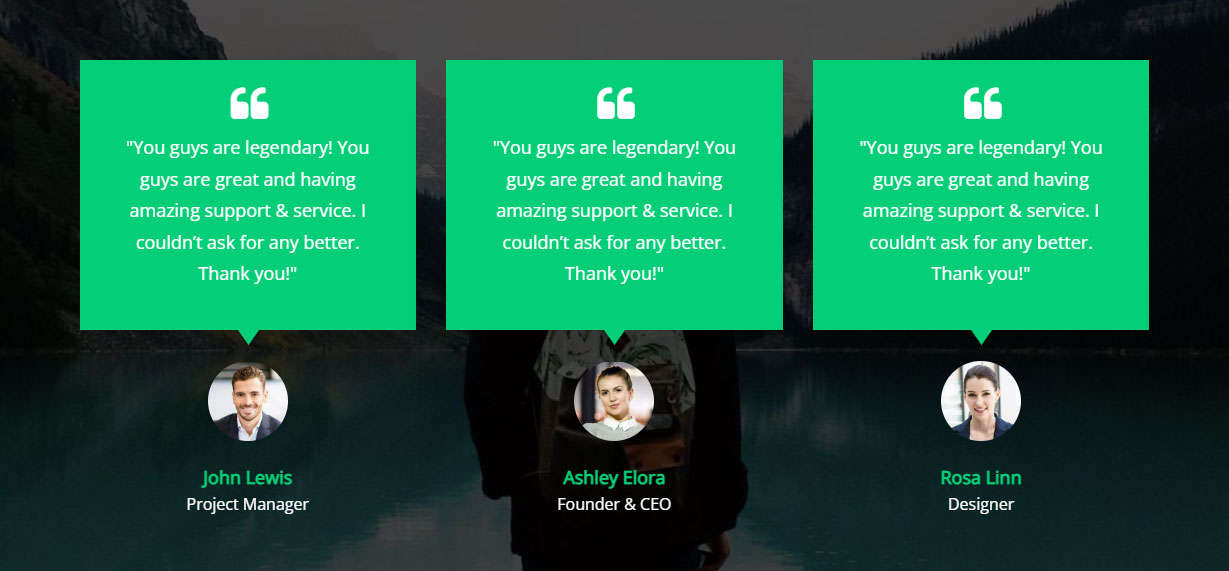Beautiful Testimonial Style