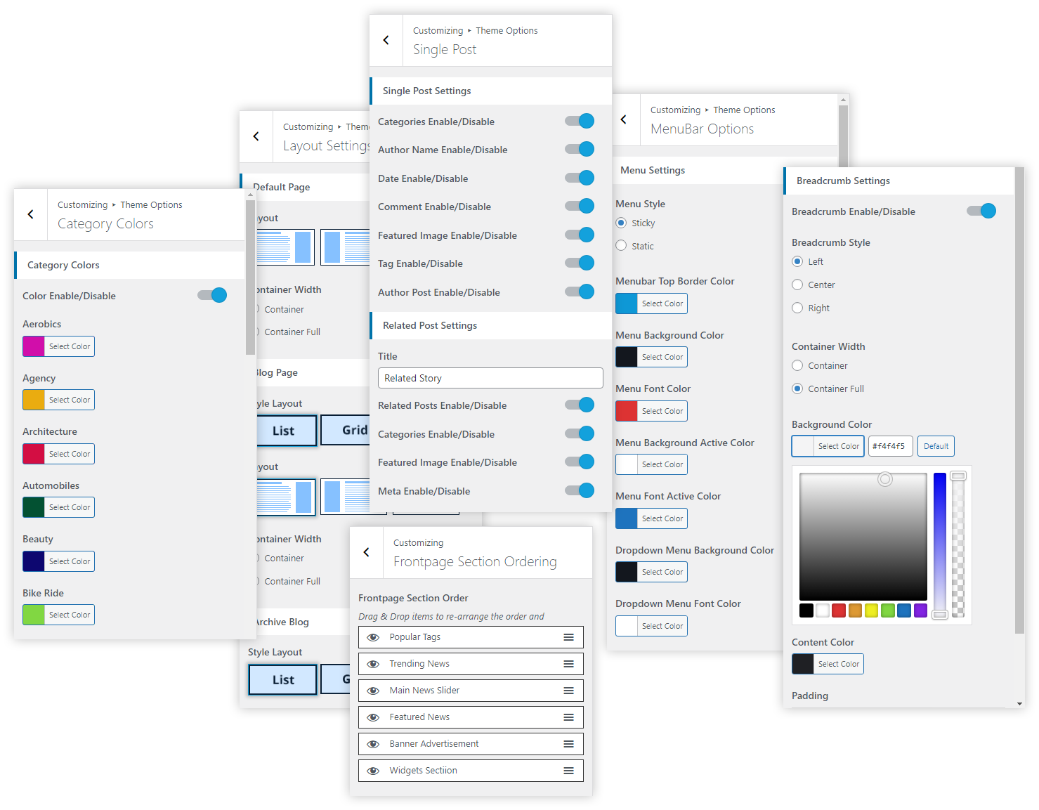 Advanced Theme Customizer Settings and Features with User-Friendly Controls